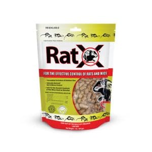 RatX on the topic Do Mice go Crazy after Eating Poison?