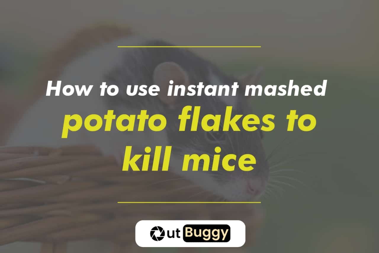 how to use instant mashed potato flakes to kill mice