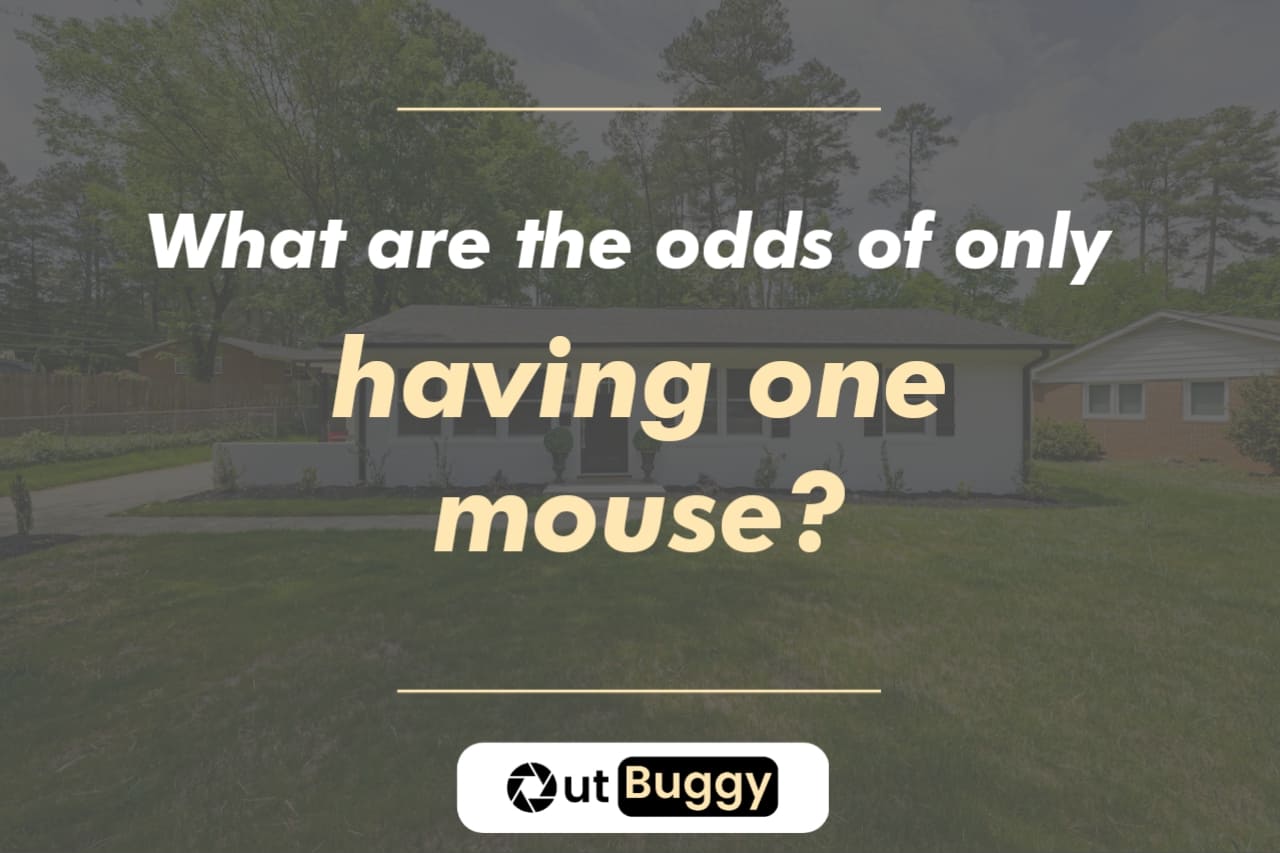What are the odds of only having one mouse?