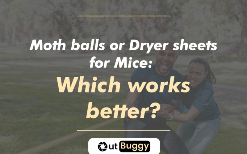 Moth balls or Dryer sheets for Mice: Which works better?