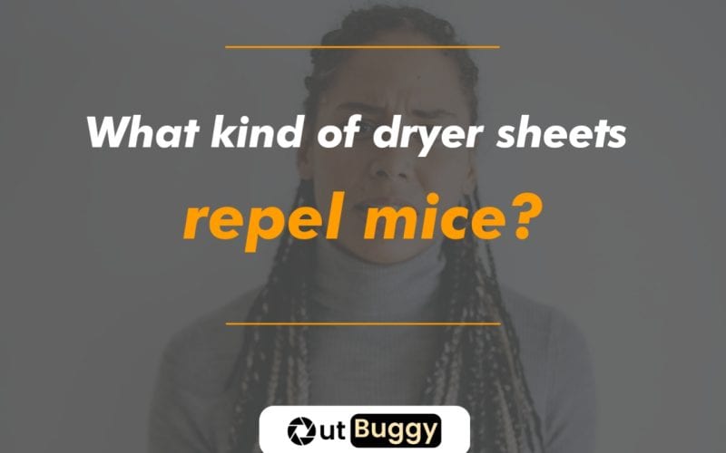 What kind of dryer sheets repel mice?