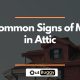 5 Common Signs of Mice in Attic
